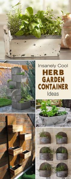 
                    
                        Insanely Cool Herb Garden Container Ideas • Lots of ideas and tutorials!
                    
                