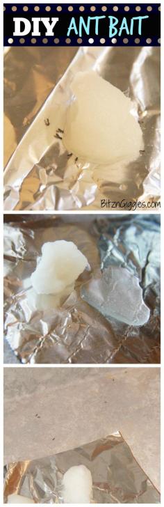 DIY Ant Bait - Made with only three ingredients - this stuff got rid of the ants in my kitchen overnight! But only after I spent over $30 in store bought solutions. Now it's my go-to bait. The secret ingredient is Borax! {blitzandgiggles.com}