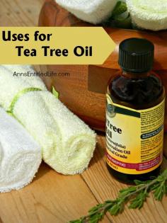 
                    
                        Uses for Tea Tree Oil
                    
                