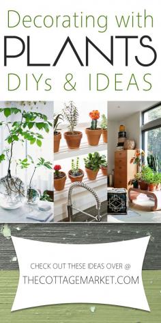 
                    
                        Decorating with Plants DIY's and Ideas - The Cottage Market
                    
                