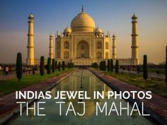 
                    
                        Why You Should Visit India Once In Your Life
                    
                