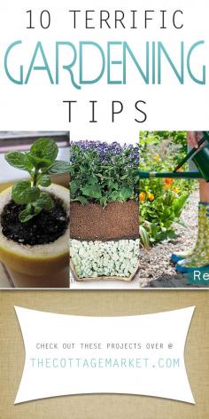 
                    
                        10 Terrific Gardening Tips - The Cottage Market
                    
                