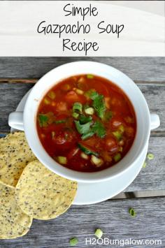 
                    
                        Easy Gazpacho Soup Recipe - So refreshing in the summer heat! www.H2OBungalow.com
                    
                