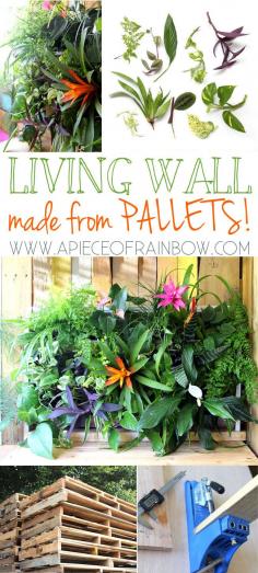 
                    
                        DIY Tropical Pallet Living Wall : Great pallet project that anyone can build it in less than 1 hour. Easy to maintain, and beautiful.-  via A Piece Of Rainbow
                    
                