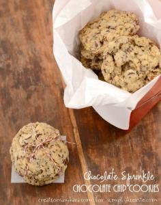 
                    
                        Chocolate Sprinkle Cookies - the kids love this easy recipe!
                    
                