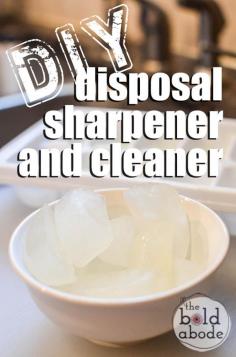 
                    
                        Learn how to make this all natural  DIY Disposal sharpener and cleaner from theboldabode.com
                    
                