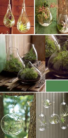 
                    
                        September and Sun: Hanging Terrariums: An Unexpected Way to Display Plants {Indoors & Outdoors}
                    
                