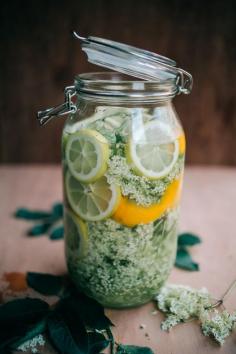 
                    
                        Elderflower Citrus Cordial
                    
                