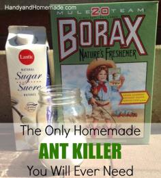 DIY Homemade Natural Ant Killer Recipe, Indoors or Outdoors 1/2 cup of sugar 1/4 cup of warm water 2-3 tablespoons of Borax