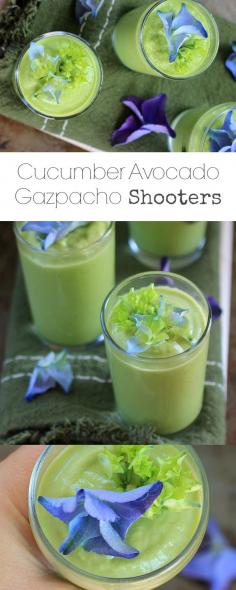 
                    
                        Cucumber Avocado Gazpacho Shooters . Refreshing, nourishing, and oh-so-delicious! {vegan, gluten-free, low carb, paleo}
                    
                