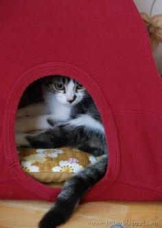 DIY cat tent with old t shirt. I love this idea and it is more sturdy than the one I bought which kept's folding up on the kitty.