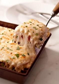 Creamy White Chicken Alfredo Lasagna Recipe from The Italian Kitchen  - I would substitute real mozzarella grated fresh, and ricotta for the cream cheese, but that's me.