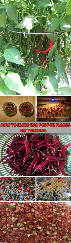 
                    
                        How to make red pepper flakes - DIY tutorial - NaturalGardenIdea...
                    
                