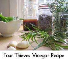 
                    
                        Four Thieves Vinegar Recipe
                    
                