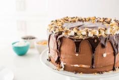 
                    
                        Salted Nutella S’mores Cake
                    
                
