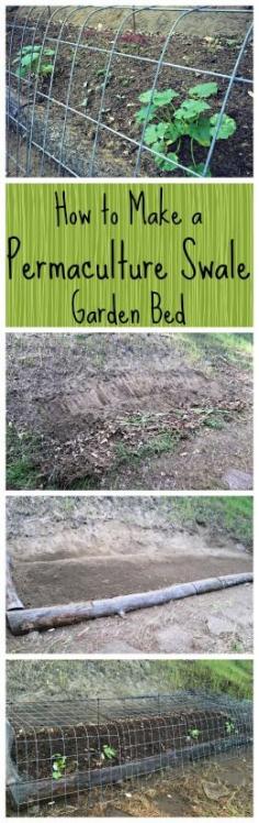 How to Build a Permaculture Swale Garden Bed~ The purpose of a swale is to prevent erosion and to keep water on your land as long as possible.  The material is dug out and placed on the downhill side, and the base of the swale ditch is dead level for it’s entire length.  Water will collect in the swale, permeating into the ground and providing deep watering for the planting mound that’s created.