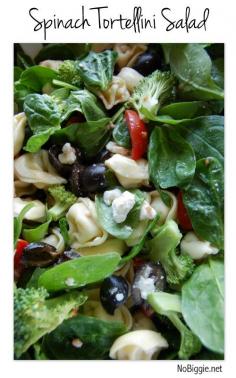 spinach tortellini salad : pastas, spinach, tomatoes, olives, carrots, brocolis