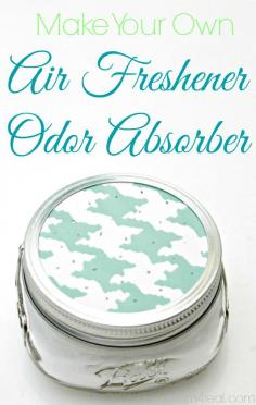 DIY Air Freshener Odor Absorber. Perfect For Sitting By Cinders Cat Litter Box!