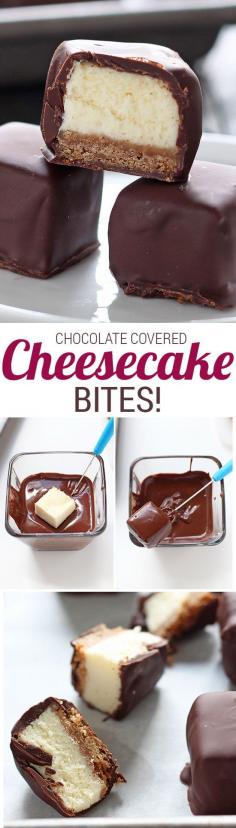 Chocolate covered cheesecake bites ~ These are TO DIE FOR!! They go fast everytime! Ingredients: graham crackers, butter, cream cheese, sugar, sour cream, eggs, vanilla, flour, sea salt, chocolate, coconut oil