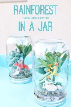 
                    
                        Rainforest in a jar - such a fun kids craft for summer!
                    
                