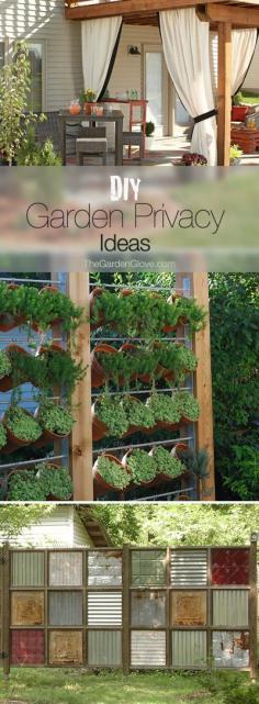 DIY Garden Privacy Ideas. Hanging herb garden.