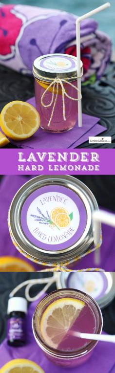 
                    
                        Lavender Hard Lemonade cocktail recipe! With free printable labels, this drink is cute to make by the jar to serve at your next party. Smelling the lavender scent as you sip is relaxing and makes you feel like you are in a field of fresh lavender! LivingLocurto.com
                    
                