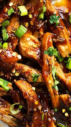 
                    
                        Slow Cooker Honey Garlic Chicken ~ easy, slow cooked juicy chicken smothered in a sweet and spicy Asian garlic sauce that'll have you licking your fingers!
                    
                