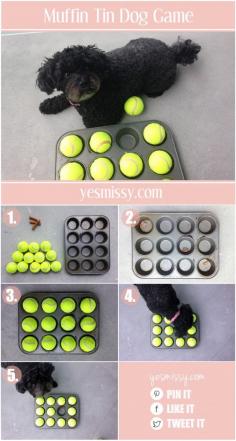 What a cute and simple idea.  Hide treats inside various holes in the muffin tin and cover with tennis balls.