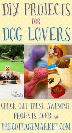 DIY Projects for Dog Lovers - The Cottage Market