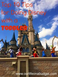 
                    
                        Our life on a budget...: Top Ten Tips for Doing Disney with a Toddler...
                    
                