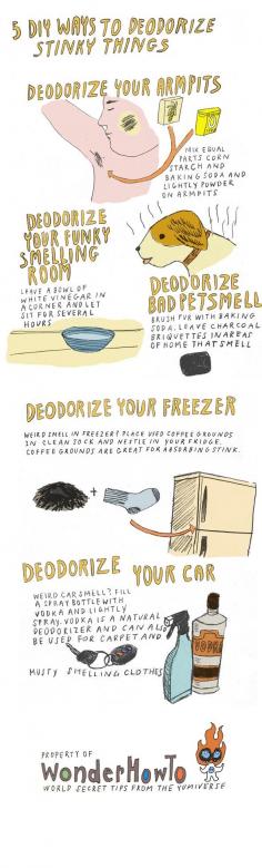 5 DIY Ways To Deodorize Stinky Things 