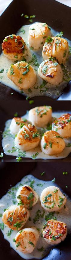 
                    
                        Garlic Herb Seared Scallops – Easy scallops recipe with a cream sauce infused with garlic and herb. So good and restaurant-quality! | rasamalaysia.com
                    
                