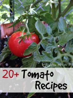 20+ Tomato Recipes - Awesome tomato recipes for summer produce