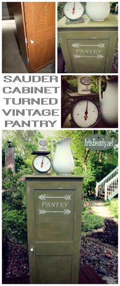 
                    
                        ART IS BEAUTY: Beat up Sauder Cabinet turned Vintage Pantry
                    
                
