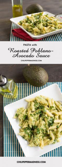 
                    
                        Quick and Easy Pasta with Roasted Poblano-Avocado Sauce from ChiliPepperMadnes...
                    
                