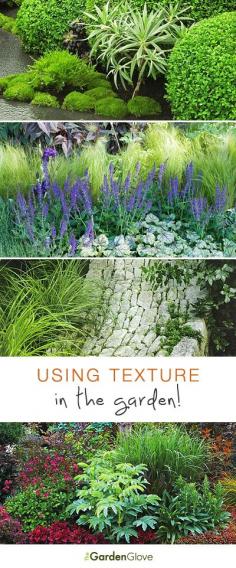 Landscape design, flower garden: Using Texture in the Garden • Good Tips & Ideas!