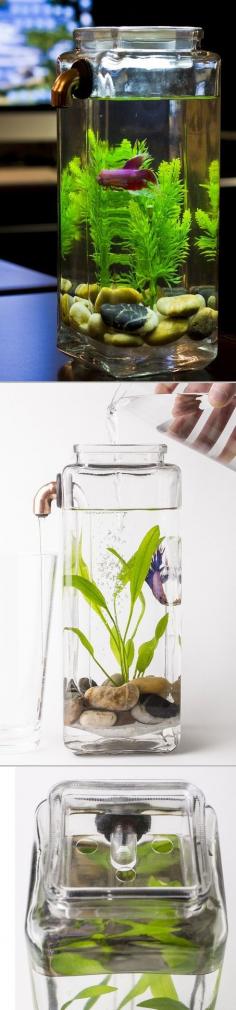 
                    
                        ► Self Cleaning Betta Aquarium - Simply pour fresh water in, and dirty water is expelled through a tube and out of the tank while your fish swims happily within. There are no filters, batteries, or cords.
                    
                