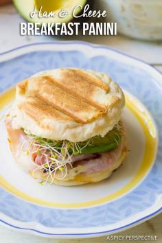 
                    
                        The Best Ham and Cheese Breakfast Panini on ASpicyPerspective...
                    
                