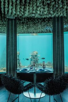 
                    
                        An Underwater Restaurant Gets Restyled By Poole Associates
                    
                