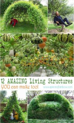 Gourd tunnel, Willow dome, Bean teepee ... 12 Amazing Living Structures You Can Make