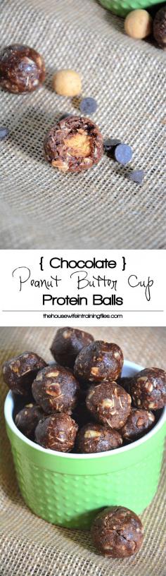 Chocolate Peanut Butter Cup Protein Bites