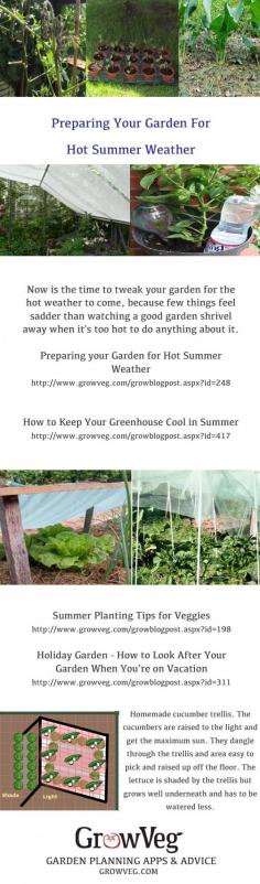 
                    
                        A collection of articles from growveg.com on how to help your plants survive the heat of summer. How to continue to make best use of your greenhouse,how to use shading, how to mulch, what to mulch with and how to look after your plants even though you are on vacation!!
                    
                
