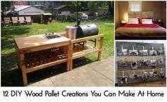 
                    
                        12 DIY Wood Pallet Creations You Can Make At Home
                    
                