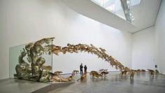 
                    
                        Exhibition [Cai Guo-Qiang : There and Back Again] - Yokohama Museum of Art in Japan / From July To October 2015
                    
                