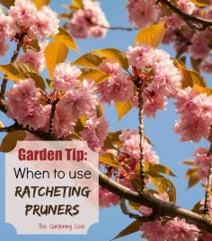 Not all pruners are equal. Ratcheting pruners make light work of heavy garden tasks and are perfect for those with weaker hands.