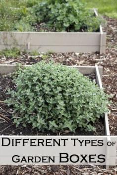 Different Types of Garden Beds