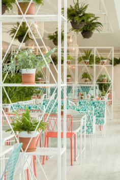 
                    
                        Kiwi & Pom Design A Garden Themed Restaurant
                    
                