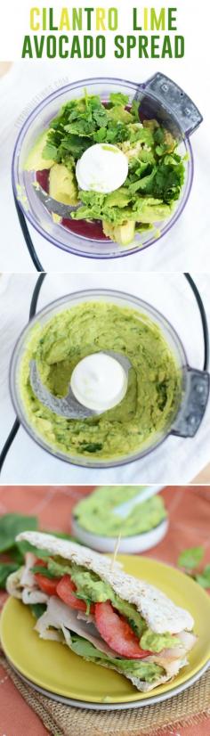 
                    
                        Delicious Cilantro Lime Avocado Spread, the hit on every party, also perfect for everyday use!
                    
                
