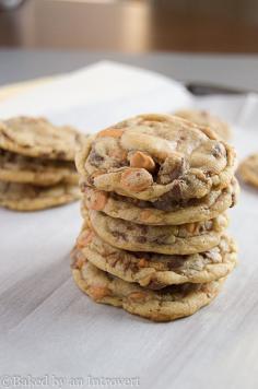 
                    
                        Butterscotch Toffee Cookies
                    
                