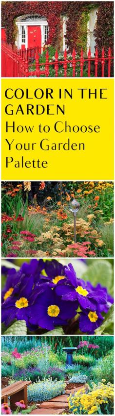 
                    
                        Color in the Garden- How to Choose Your Garden Palette
                    
                